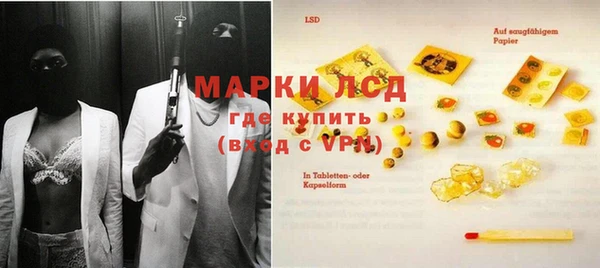 сатива Аркадак