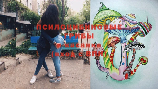 гашик Арсеньев