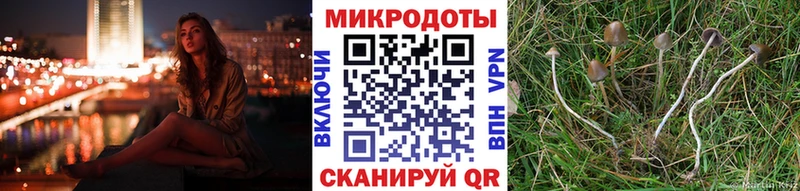 магазин  наркотиков  Мантурово  Галлюциногенные грибы Magic Shrooms 